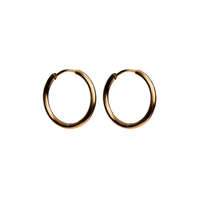 Brinco Titânio Verdi