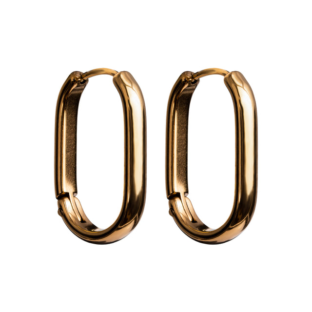 Brinco Titânio Bach