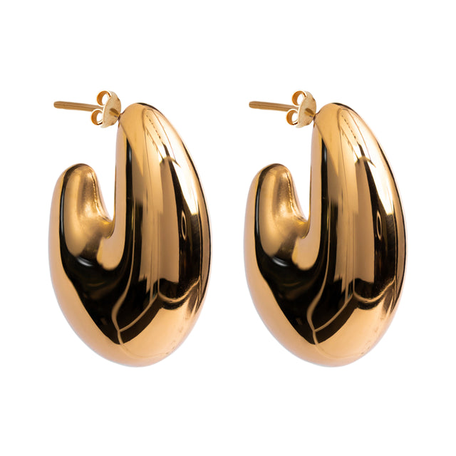 Brinco Titânio Anish