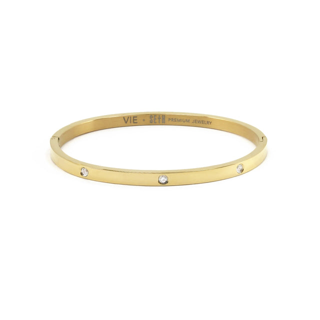 Vie Titanium Gold Bracelet