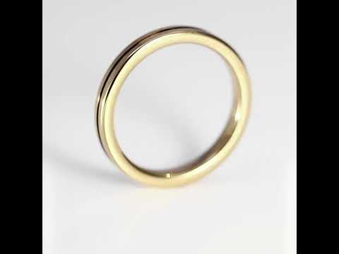 Aliança de Tungstênio Paris Ouro Brilho 3mm